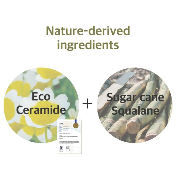 ROUND LAB Soybean Nourishing Cleanser | Scrub foam cleanser, Gentle exfoliation, Remove blackheads and excess sebum, a potent plant-derived ingredient (5.07fl.oz) - Image 6