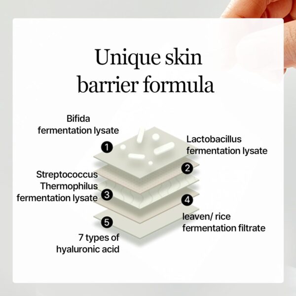 mixsoon Bifida Toner Pad,Moisture Barrier, Bifida Ferment Lysate, Rayon Sponge Pad (280ml/9.46fl.oz/120 Sheets) - Image 5