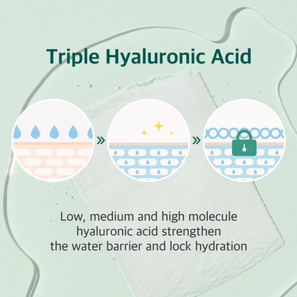 ROUND LAB Pine Calming Cica Sheet Mask 10ea, Cooling and Soothing Mask for Heated, Acne-Prone Skin, Double-Waved Air Hole Design for Extra Hydration with Pine Cica and Hyaluronic Acid, Korean Skincare - Image 5