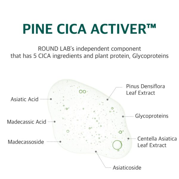 ROUND LAB Pine Calming Cica Pad 50pcs, 7cm Wide Cooling and Soothing Toner Pads with Pine Cica, BHA + LHA, and Hyaluronic Acid for Heated, Acne-Prone Skin, Multi-Zone Hydration, Korean Skincare - Image 4