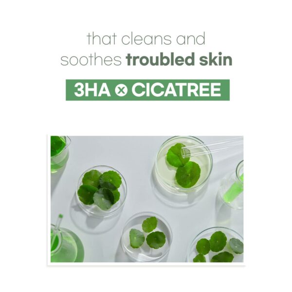 [Mixsoon] Cicatree Clean Toner 5.07 fl oz/150ml | Daily toner for troubled skin, fast absorption, zero irritation | Cruelty-free - Image 3