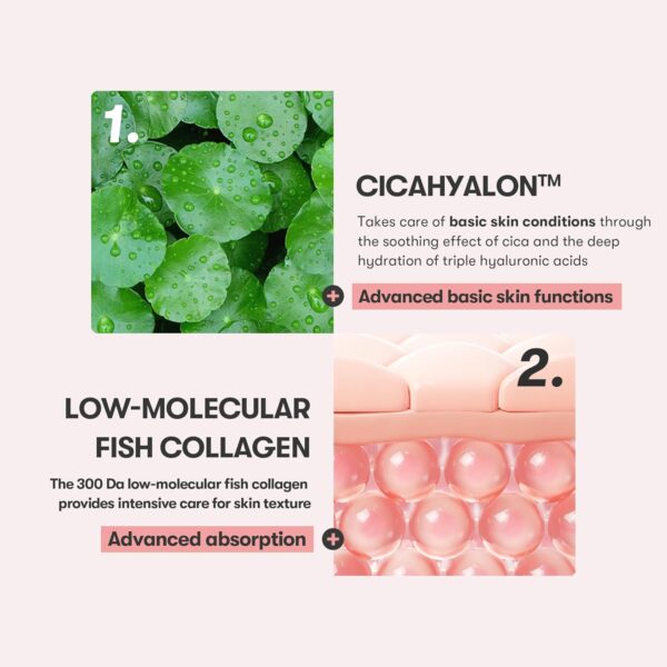 VT COSMETICS Cica Collagen Essence, 300Da Collagen Extract & Peptide Complex for Firming, Plumping, and Improving Skin Elasticity. Korean Skincare, Pink Collagen Serum - Image 2