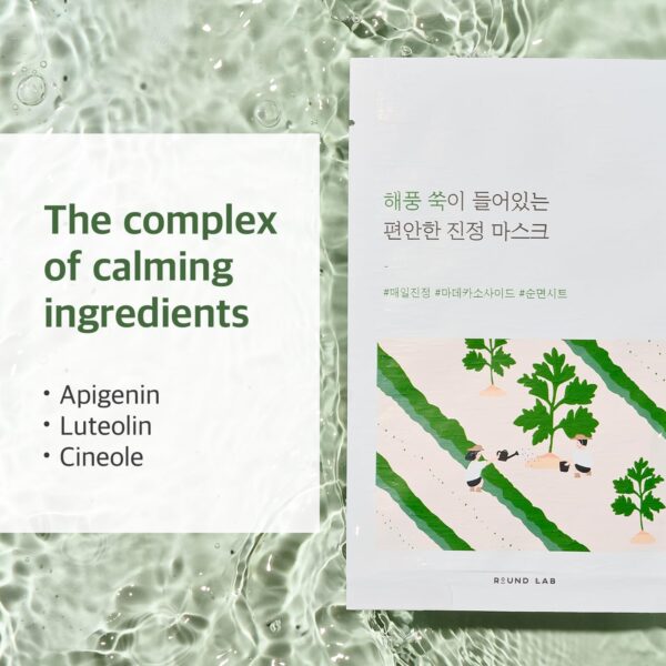 ROUND LAB Mugwort Calming Sheet Mask (Unscented) | Calm irritated skin, Soothing care, Hydration lock, Cooling effect (10ea) - Image 4