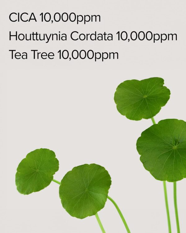 Mary&May CICA Houttuynia Tea Tree Calming Mask - Daily Pull Out Sheet Mask for Instant Soothing & Moisturizing - Korean Skincare, Hypoallergenic and Cruelty-Free, 30 Sheets - Image 5
