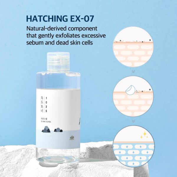 ROUND LAB Dokdo Toner/Exfoliating, Hydrating, Watery Type Toner (100ml) - Image 4