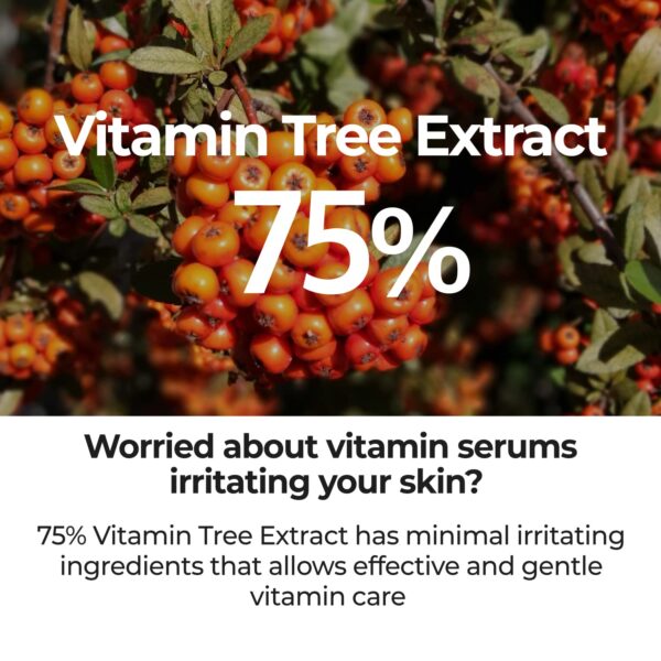 numbuzin No.5 Serum | Goodbye Blemish Serum | for Acne Scars with Vitamin C, Niacinamide, Antioxidant | Lightweight Gel, Korean Skincare for Face | 1.69 fl. oz. - Image 3