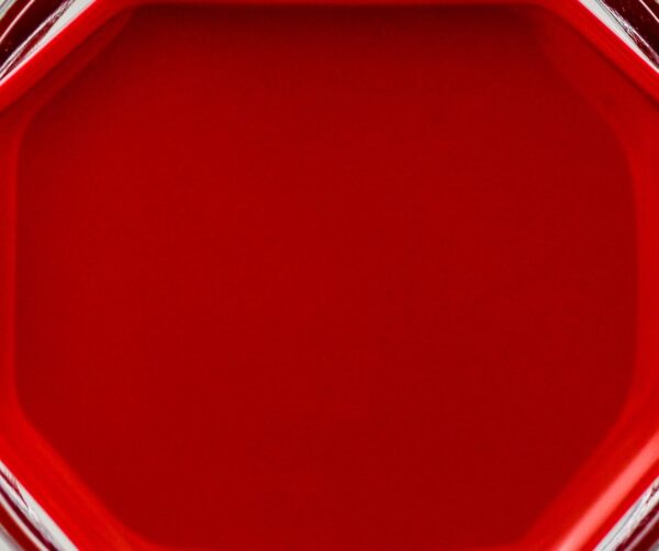 CANMAKE Cream Cheek [CL01] Clear Red Heart